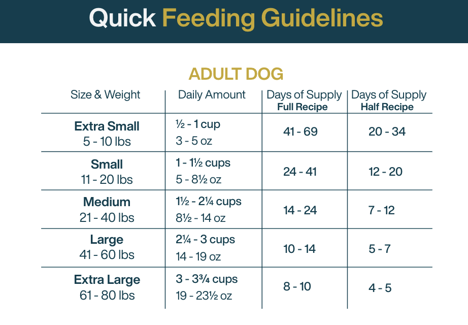 ground turkey dog food diy serving chart